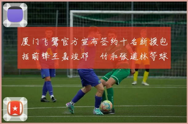 厦门飞鹭官方宣布签约十名新援包括前锋王嘉竣邓棽竹和张道林等球员