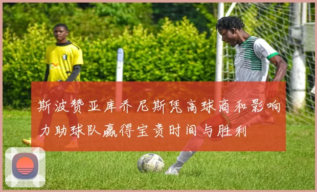斯波赞亚库乔尼斯凭高球商和影响力助球队赢得宝贵时间与胜利