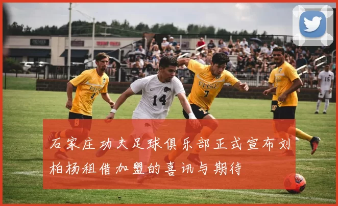 石家庄功夫足球俱乐部正式宣布刘柏杨租借加盟的喜讯与期待