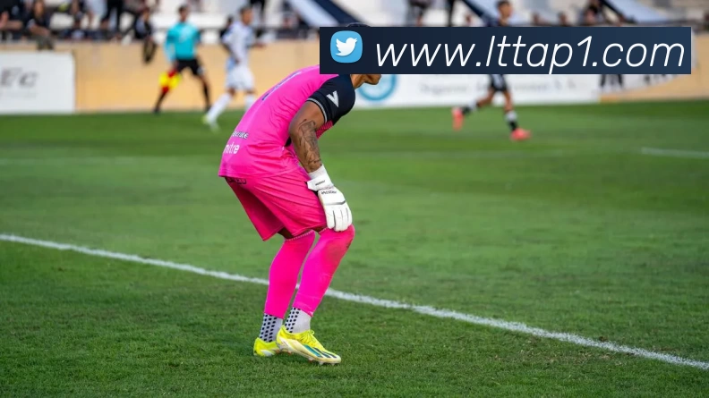 乐天堂体育app平台生态图